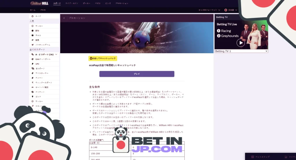 エコぺイズが利用できる最高のベッティングサイト