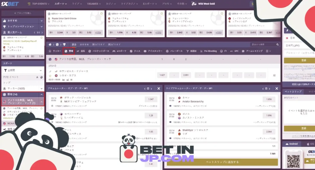 1xBet