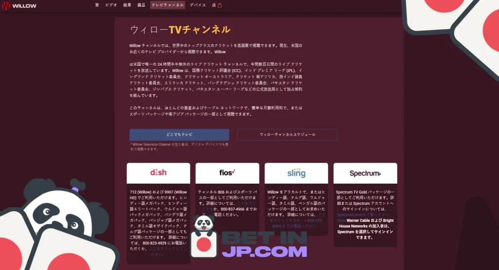 クリケットライブ配信の視聴料金は日本でいくらかかる？