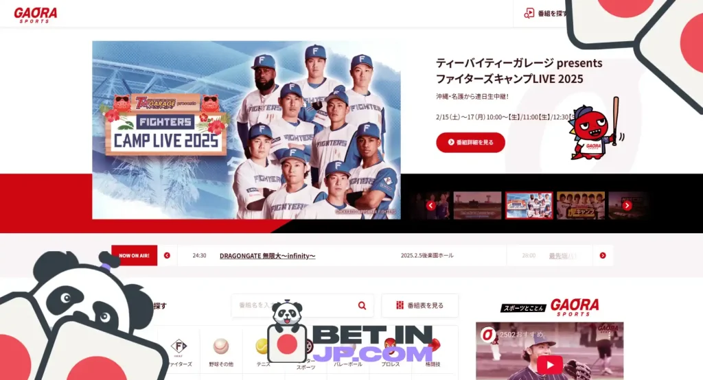 バレーボール放送はどこで見るべき？